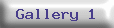 Gallery%201